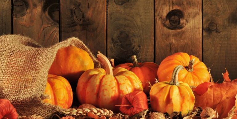 Thanksgiving Day – Time for Being Grateful!