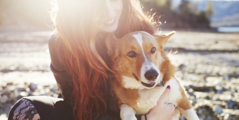 30th of November – World Pets Day