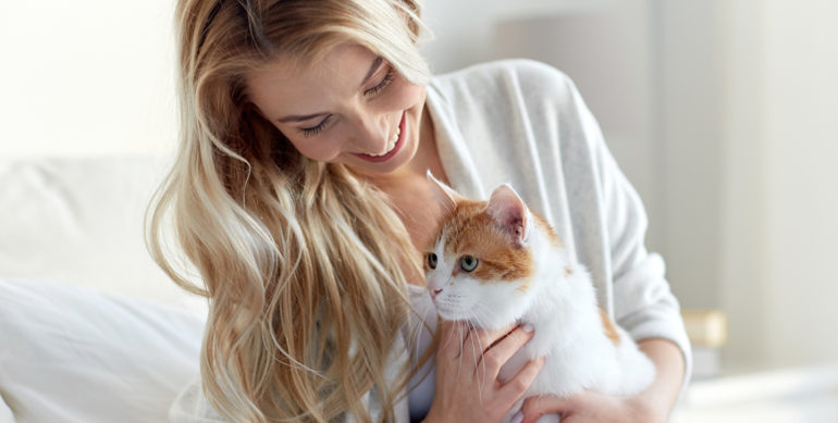 8th of August – International Cat Day