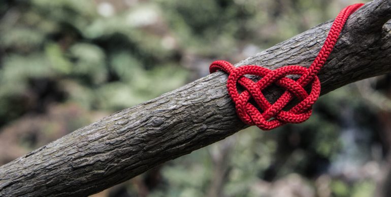 Everyone wants to have a “healthy relationship.” What does it mean?