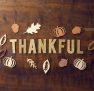Thanksgiving Day: A Perfect Moment to Connect, Appreciate, and Grow Closer